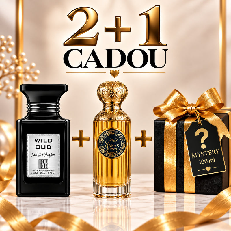 SET PARFUMURI UNISEX 2+1 MYSTERY – WILD OUD + QASAS HUDSON + 1 PARFUM MYSTERY CADOU